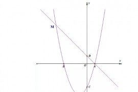 【中考】数学抛物线模型专题
